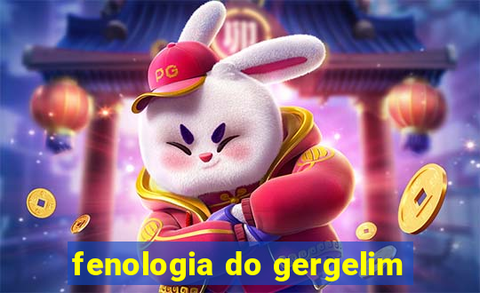 fenologia do gergelim